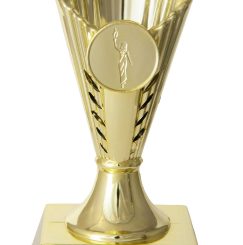 Gold Cup