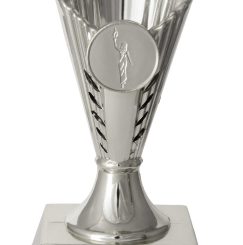 Silver Cup