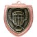 Shield Medal - Ice Hockey (Iron), Trophy, Ice Hockey, Medals