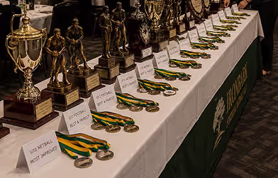 The full presentation set on the table: cups, figurine trophies, a perpetual shield and rows of medals ready to be handed out.